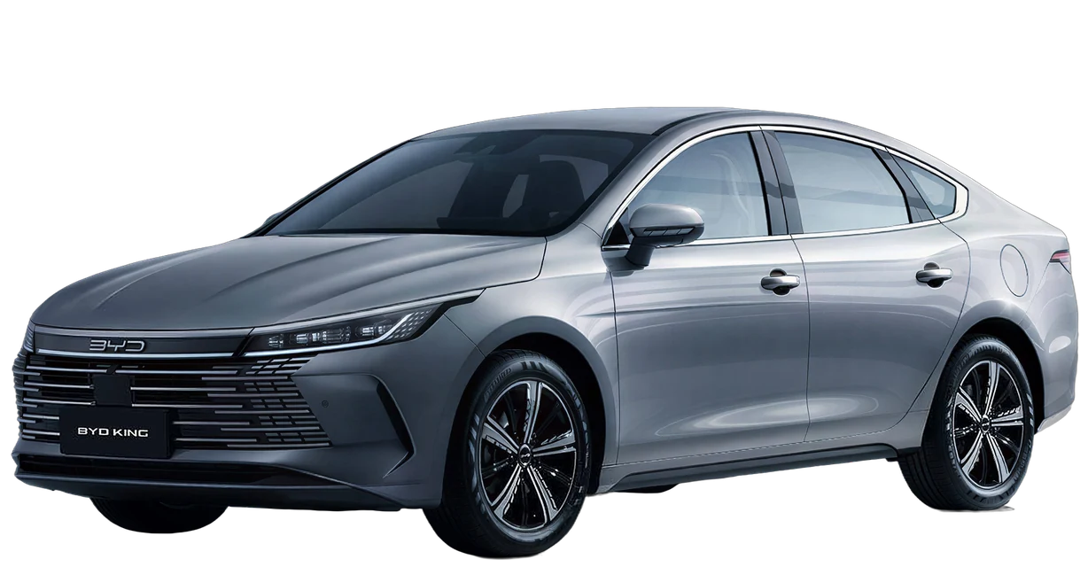 BYD King